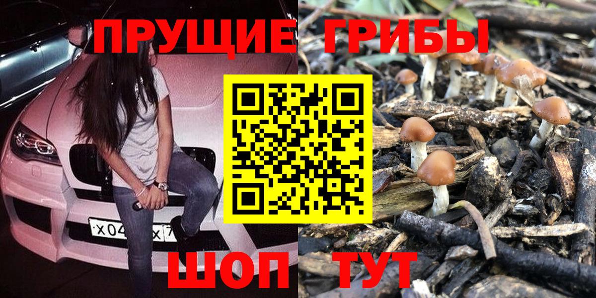 Псилоцибиновые грибы мицелий Мегион