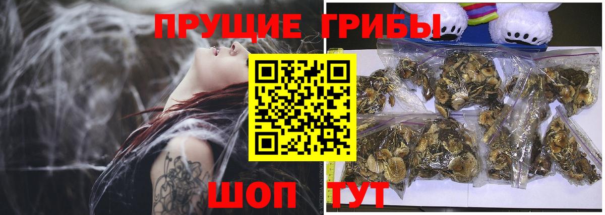 Псилоцибиновые грибы мицелий  Вход с VPN  Мегион 
